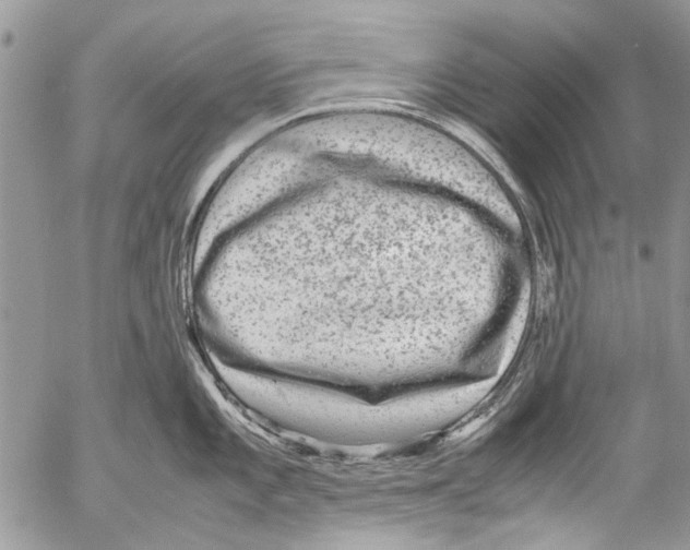 X0000053051101200508081122