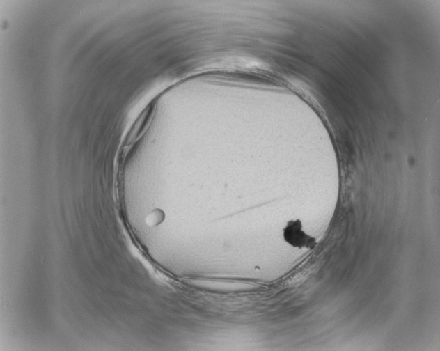 X0000053051103200508081122