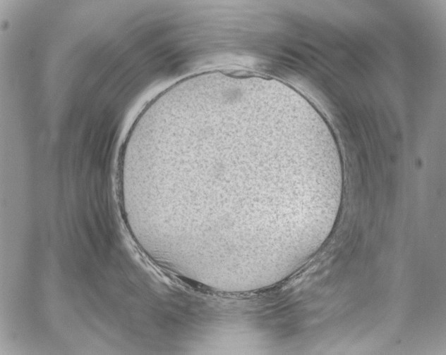 X0000053051104200508081122