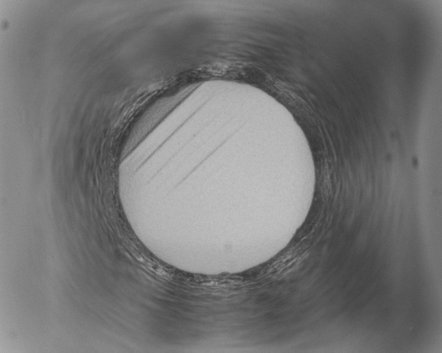 X0000053051105200508081121