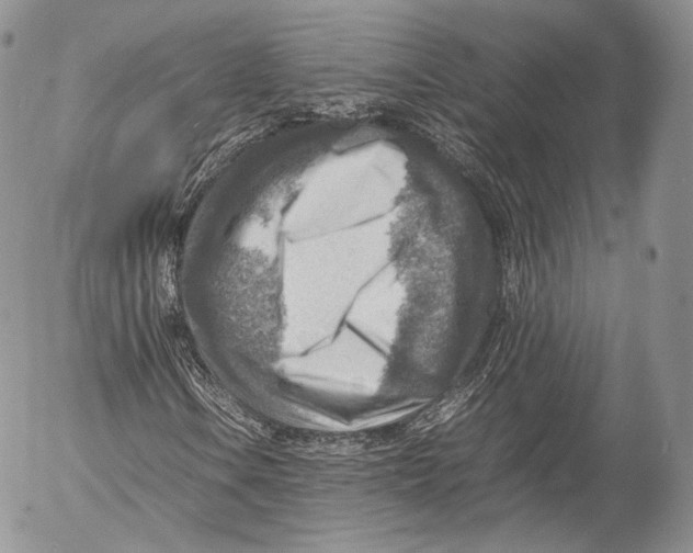 X0000053051106200508081121