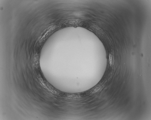 X0000053051107200508081121