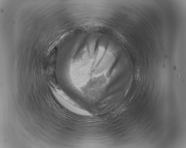 X0000053051108200508081121