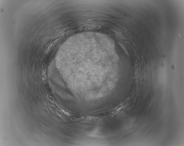 X0000053051109200508081121