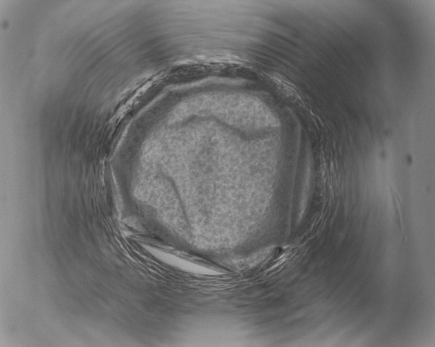 X0000053051110200508081121