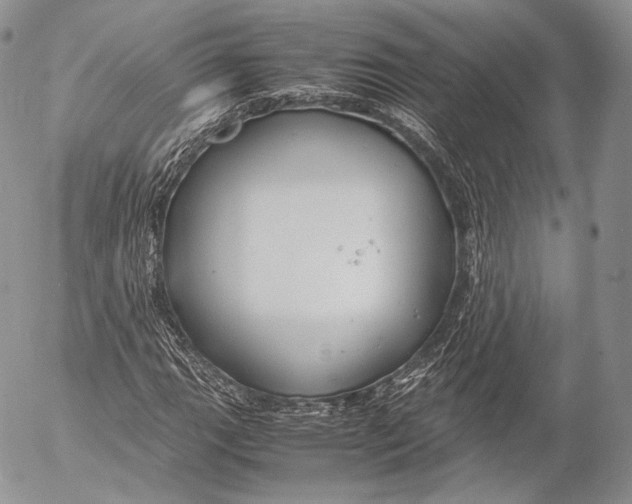 X0000053051111200508081121