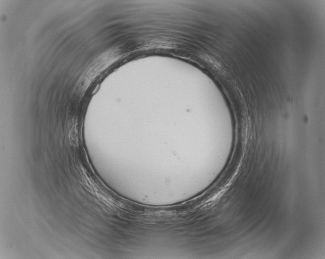 X0000053051113200508081121