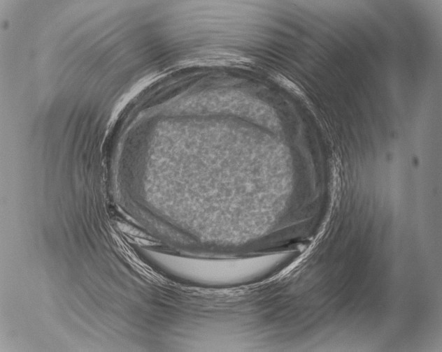 X0000053051114200508081121