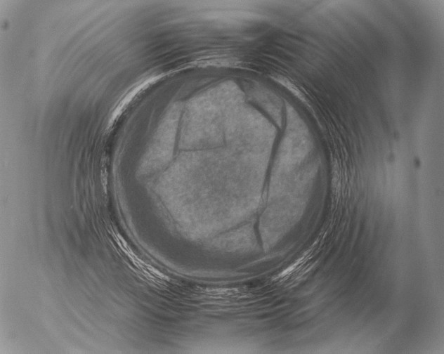 X0000053051115200508081121