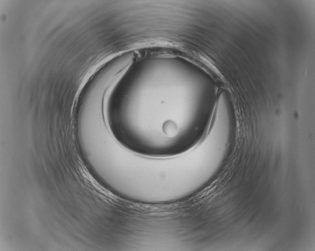 X0000053051116200508081121