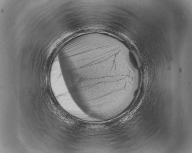 X0000053051117200508081121