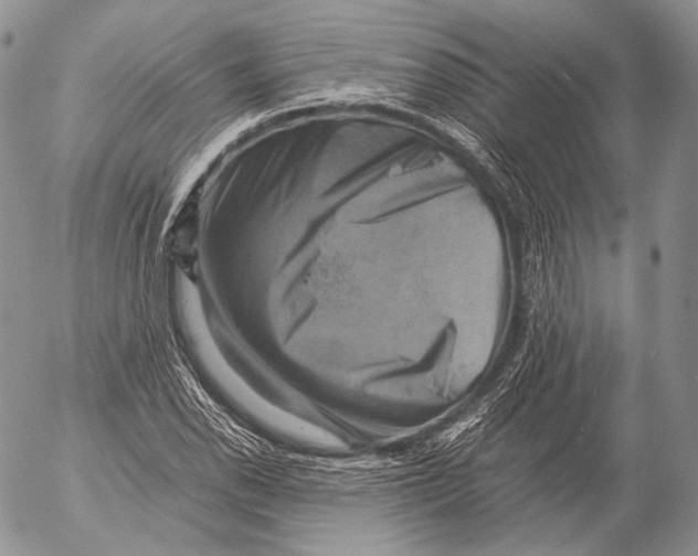 X0000053051118200508081121