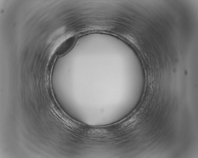 X0000053051119200508081121