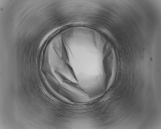 X0000053051120200508081121