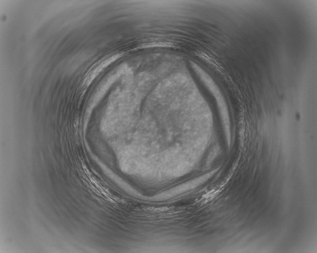 X0000053051121200508081121