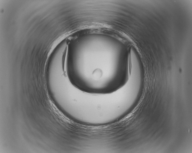 X0000053051122200508081121