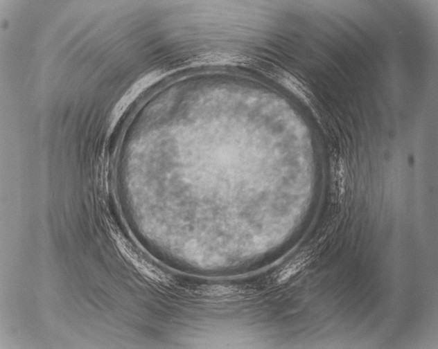 X0000053051124200508081122