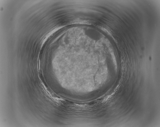 X0000053051125200508081122