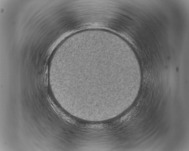 X0000053051126200508081122