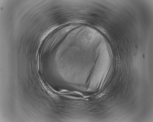 X0000053051127200508081122