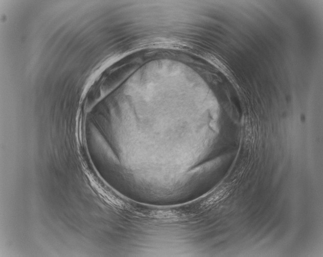 X0000053051128200508081122