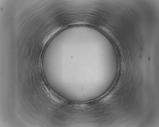 X0000053051129200508081122