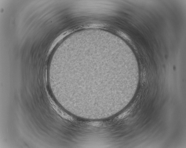 X0000053051130200508081122