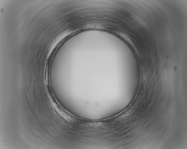 X0000053051131200508081122