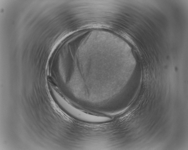 X0000053051132200508081122