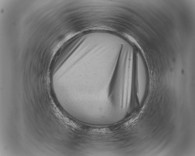 X0000053051133200508081122