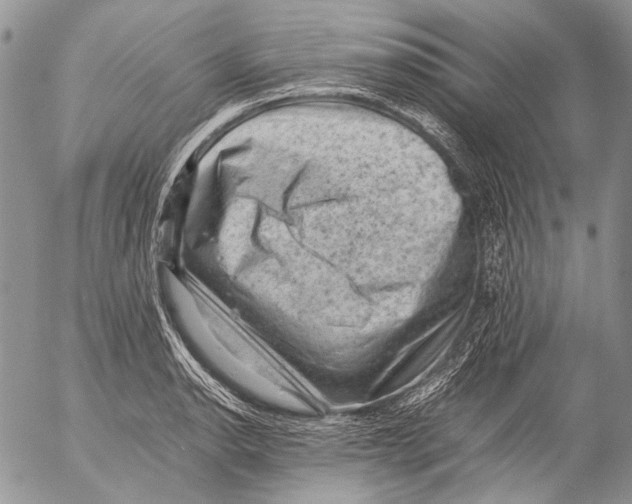 X0000053051134200508081122