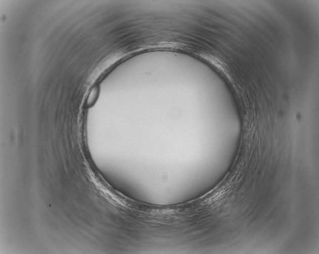 X0000053051135200508081122