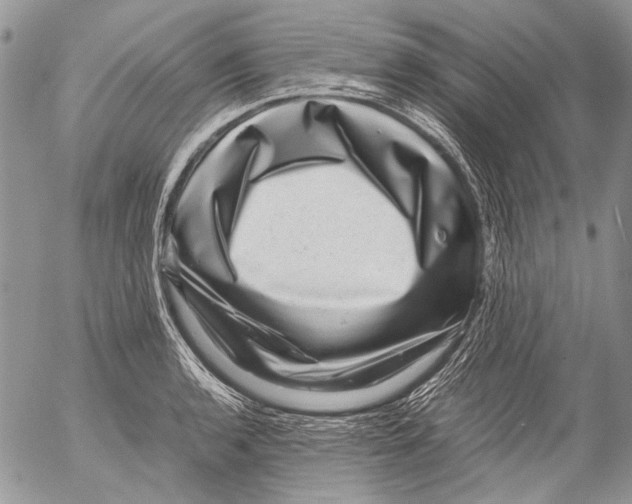 X0000053051136200508081122