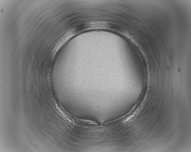 X0000053051137200508081122