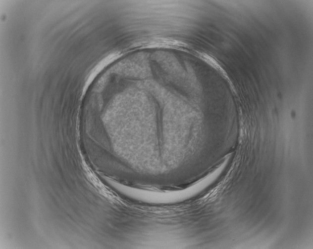 X0000053051138200508081122