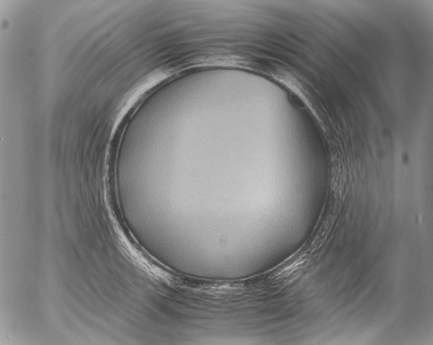 X0000053051139200508081122