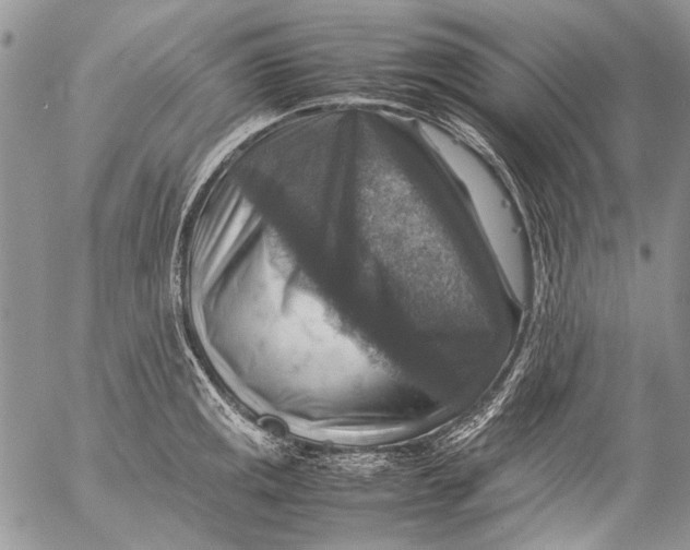 X0000053051141200508081122