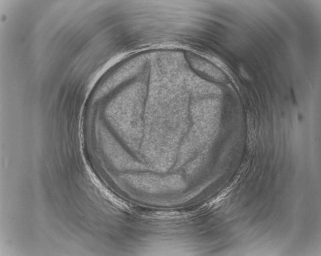 X0000053051142200508081122