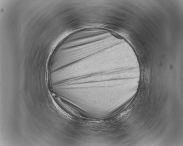 X0000053051143200508081122