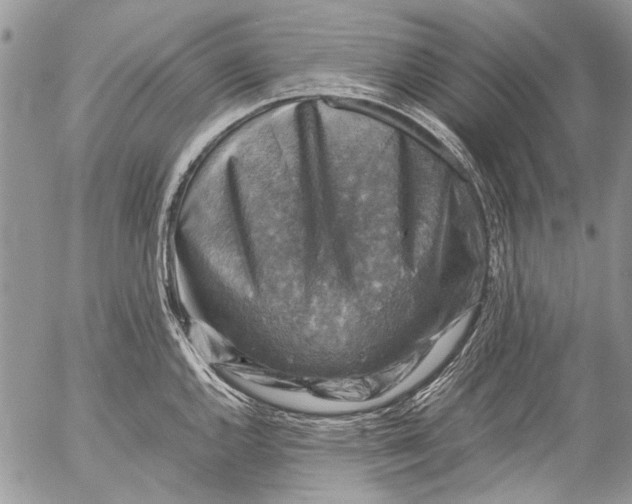 X0000053051144200508081122