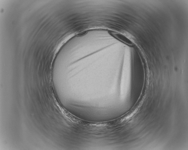 X0000053051145200508081122