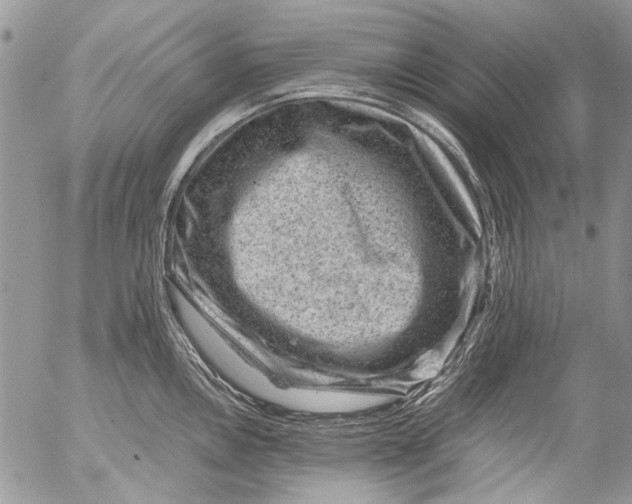 X0000053051146200508081122