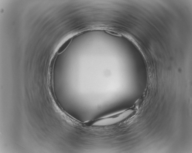 X0000053051147200508081122