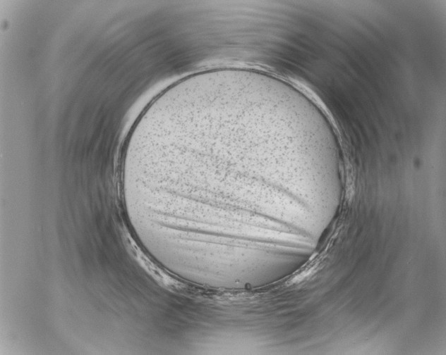 X0000053051148200508081122