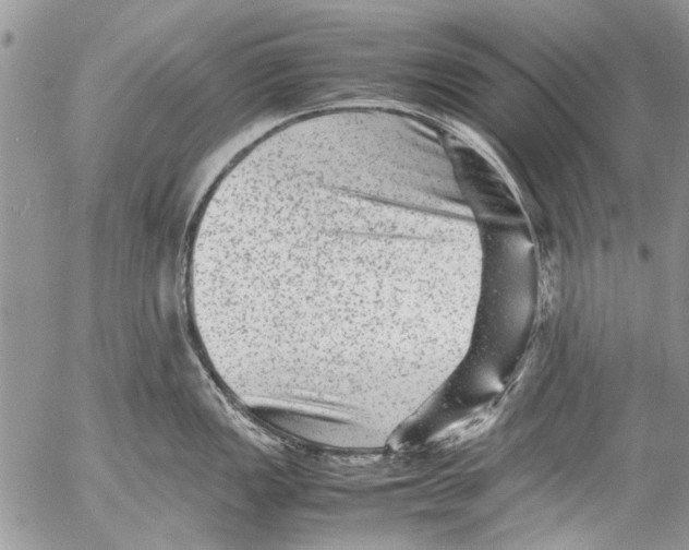 X0000053051149200508081122