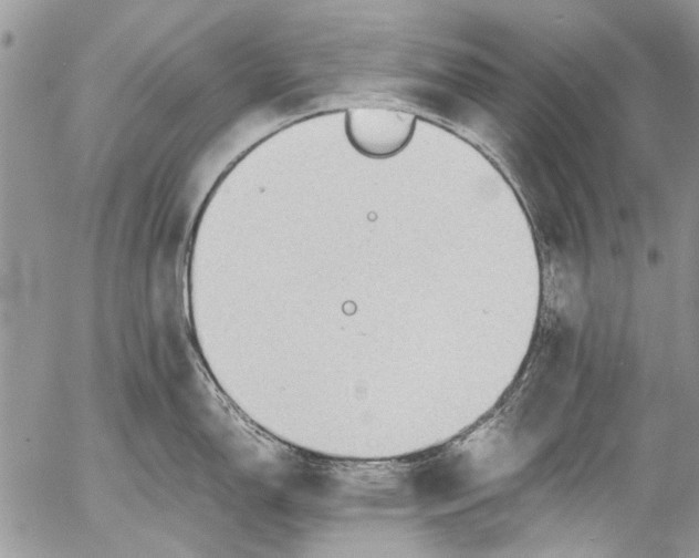 X0000053051150200508081122