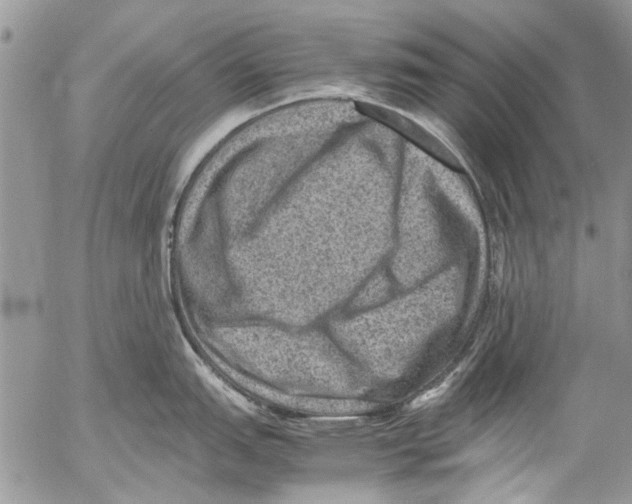 X0000053051151200508081122