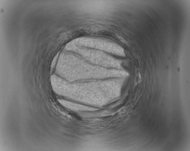 X0000053051153200508081121