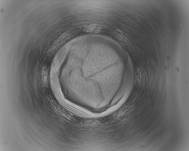 X0000053051154200508081121