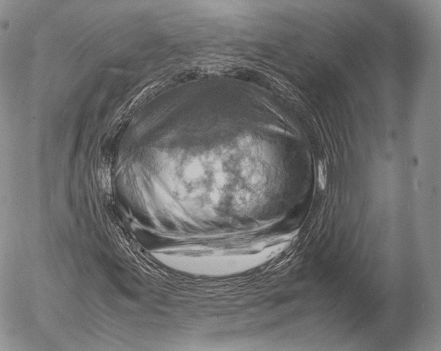 X0000053051155200508081121